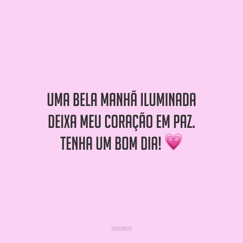 Uma bela manhã iluminada deixa meu coração em paz. Tenha um bom dia!