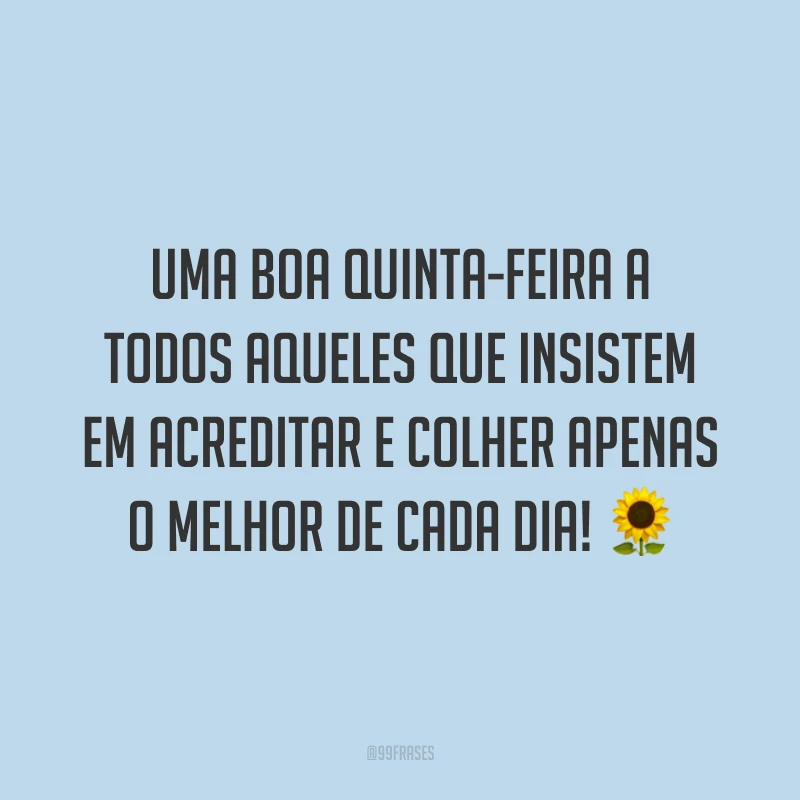 Uma boa quinta-feira a todos aqueles que insistem em acreditar e colher apenas o melhor de cada dia! 🌻