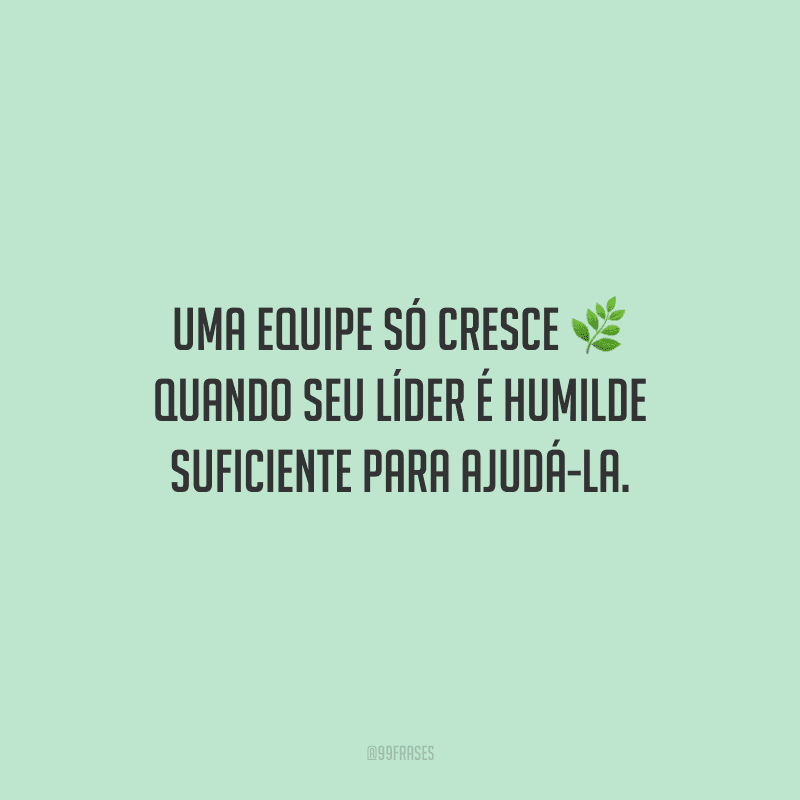 Uma equipe só cresce quando seu líder é humilde suficiente para ajudá-la. 