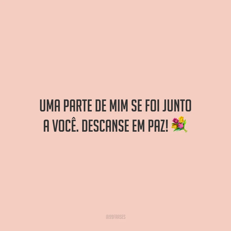 Uma parte de mim se foi junto a você. Descanse em paz!