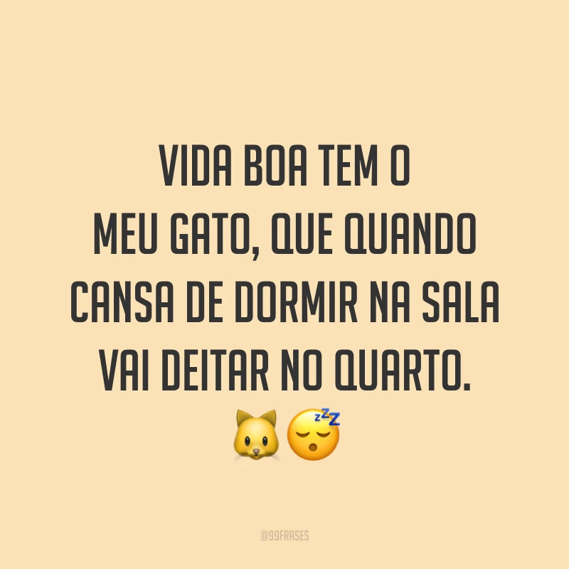 Vida boa tem o meu gato, que quando cansa de dormir na sala vai deitar no quarto. 🐱😴