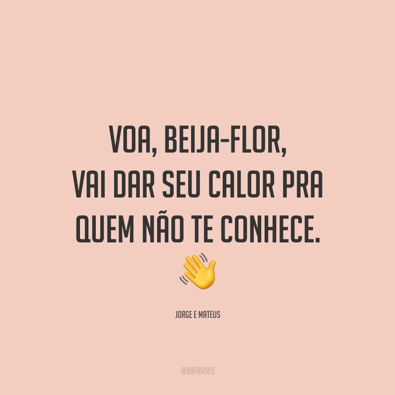 Voa, beija-flor, vai dar seu calor pra quem não te conhece. 👋