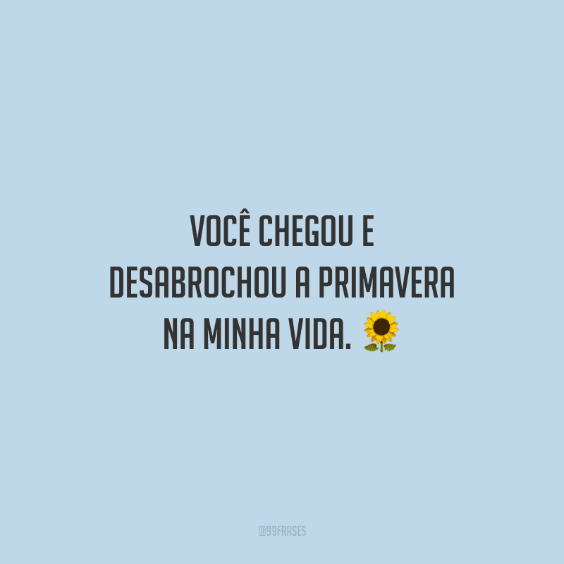Você chegou e desabrochou a primavera na minha vida.