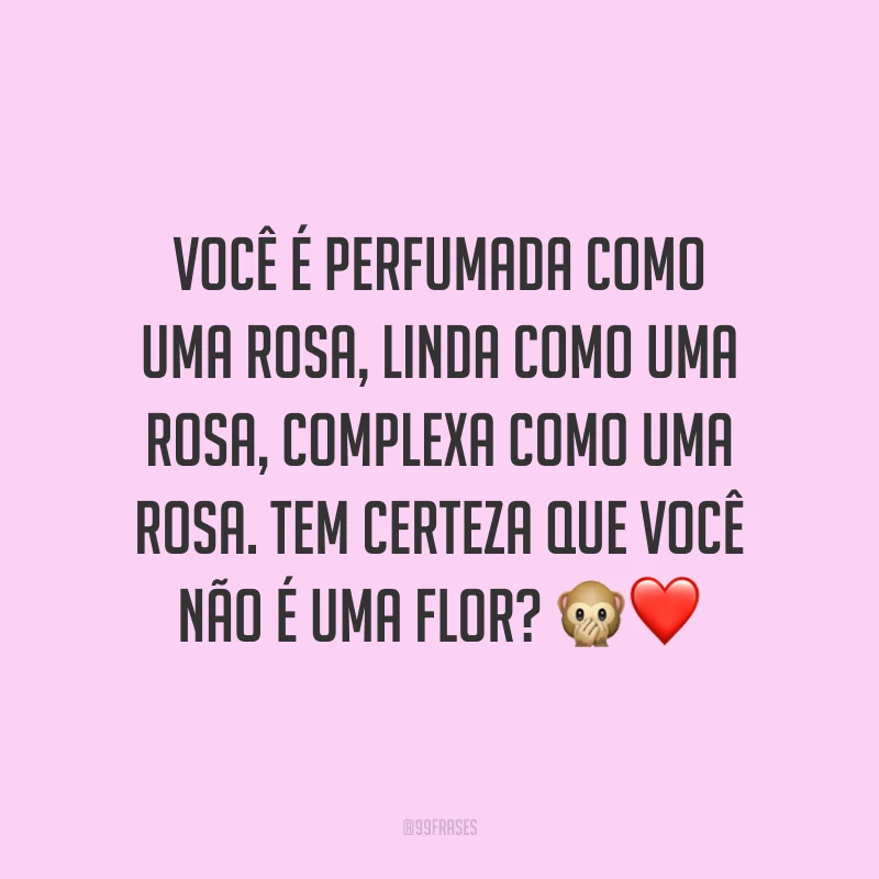 Você é perfumada como uma rosa, linda como uma rosa, complexa como uma rosa. Tem certeza que você não é uma flor? 🙊❤️