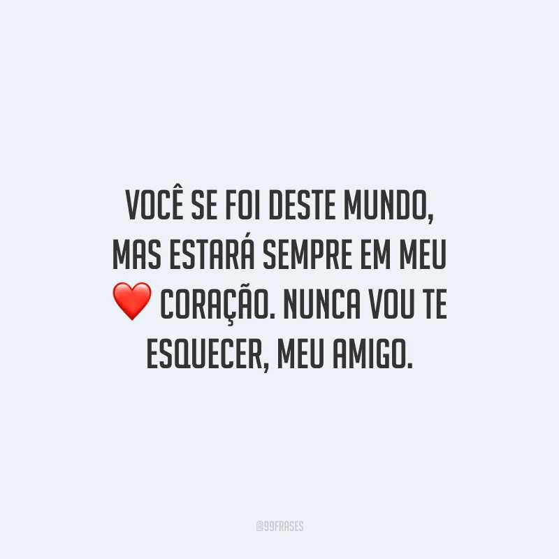 Você se foi deste mundo, mas estará sempre em meu coração. Nunca vou te esquecer, meu amigo.