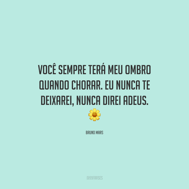 Você sempre terá meu ombro quando chorar. Eu nunca te deixarei, nunca direi adeus. 