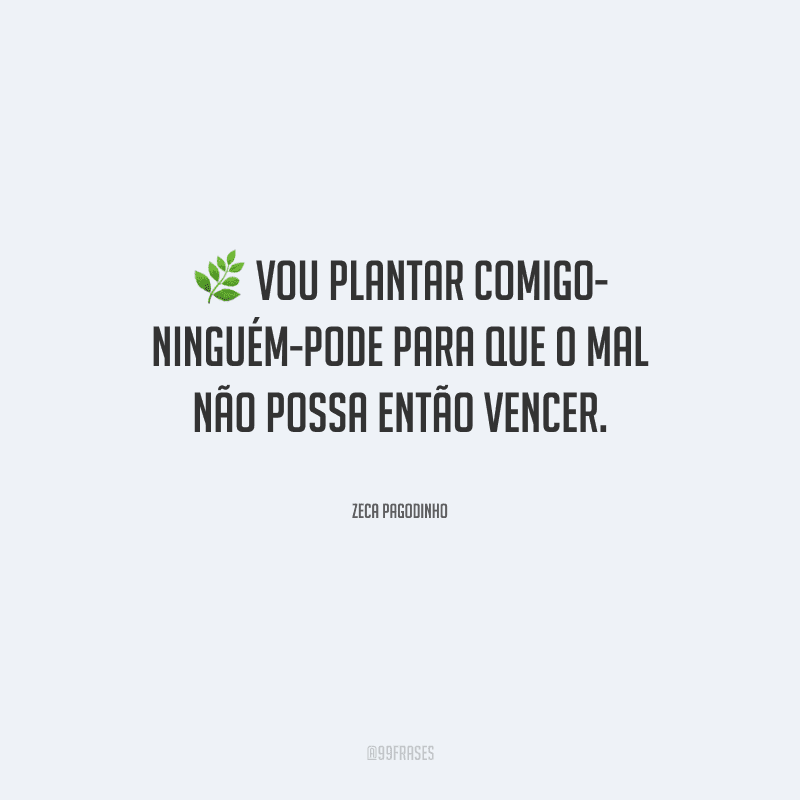 Vou plantar comigo-ninguém-pode para que o mal não possa então vencer.