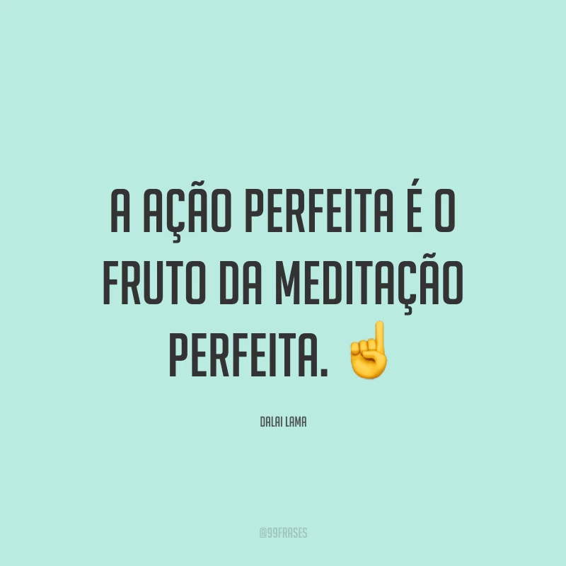A ação perfeita é o fruto da meditação perfeita. ☝