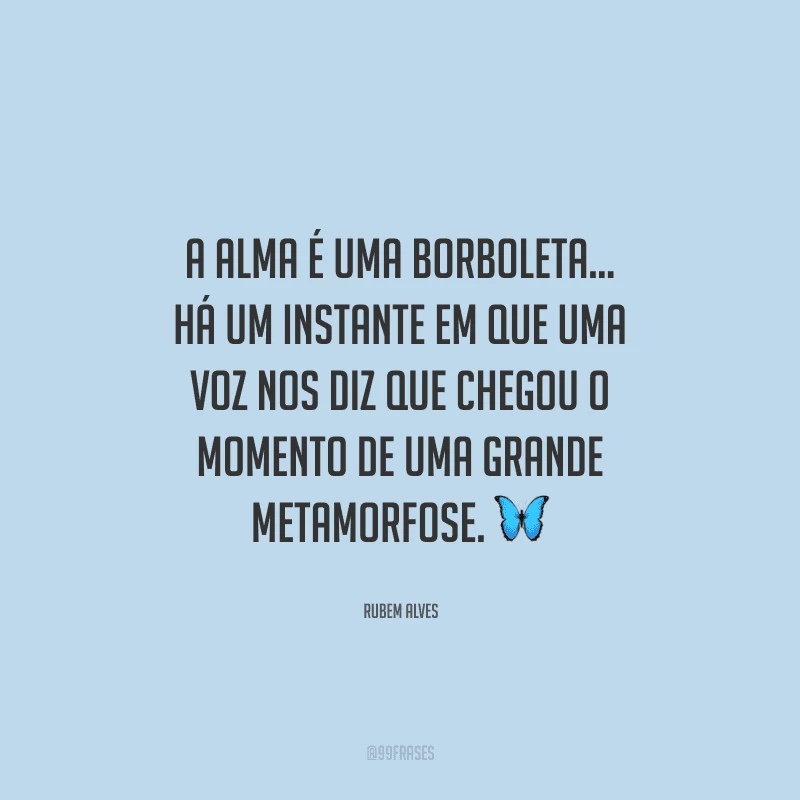 A alma é uma borboleta... Há um instante em que uma voz nos diz que chegou o momento de uma grande metamorfose. 