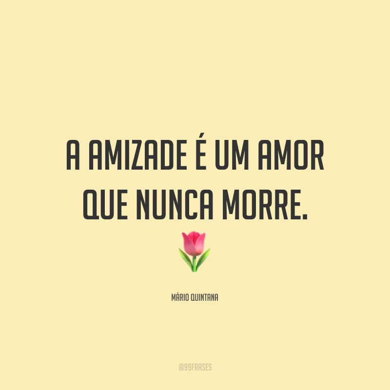 A amizade é um amor que nunca morre. 🌷