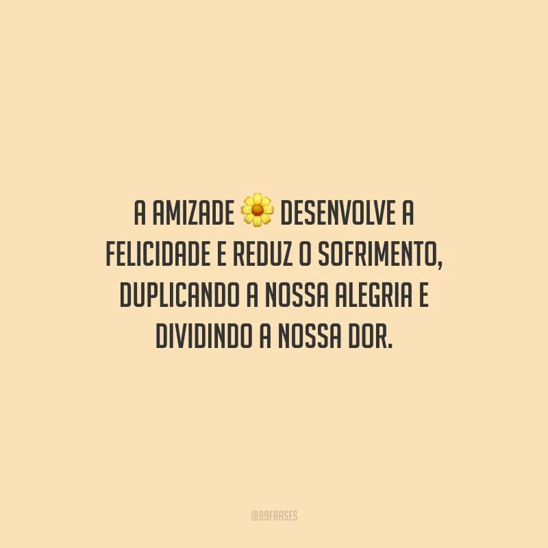 A amizade desenvolve a felicidade e reduz o sofrimento, duplicando a nossa alegria e dividindo a nossa dor.