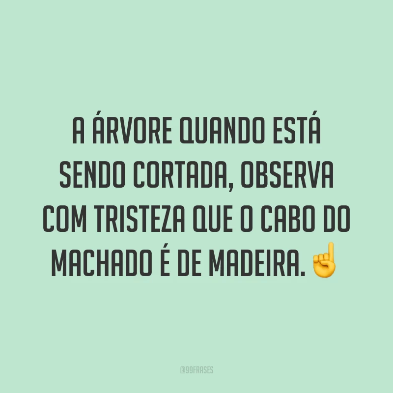 A árvore quando está sendo cortada, observa com tristeza que o cabo do machado é de madeira.☝