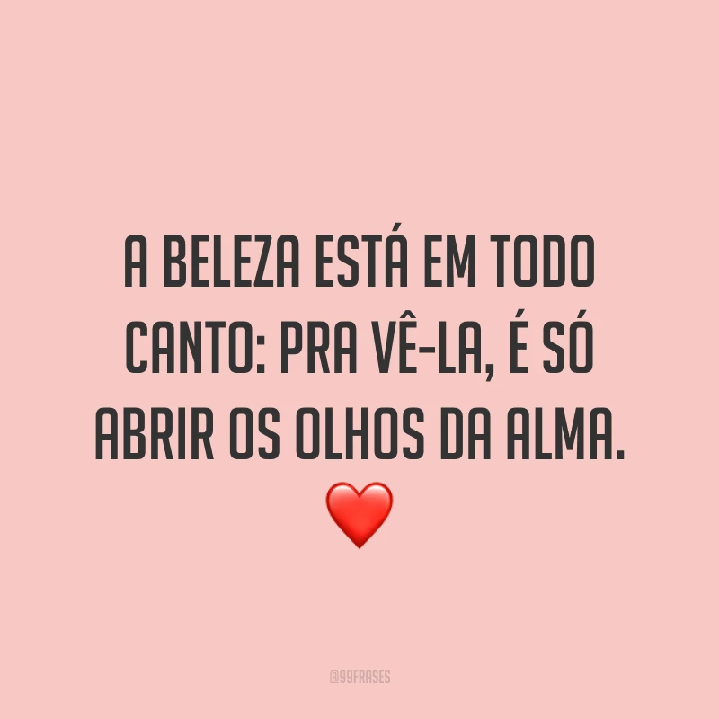 A beleza está em todo canto: pra vê-la, é só abrir os olhos da alma. ❤