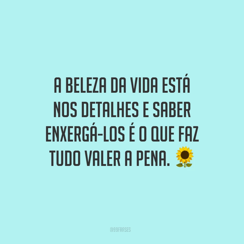 A beleza da vida está nos detalhes e saber enxergá-los é o que faz tudo valer a pena.