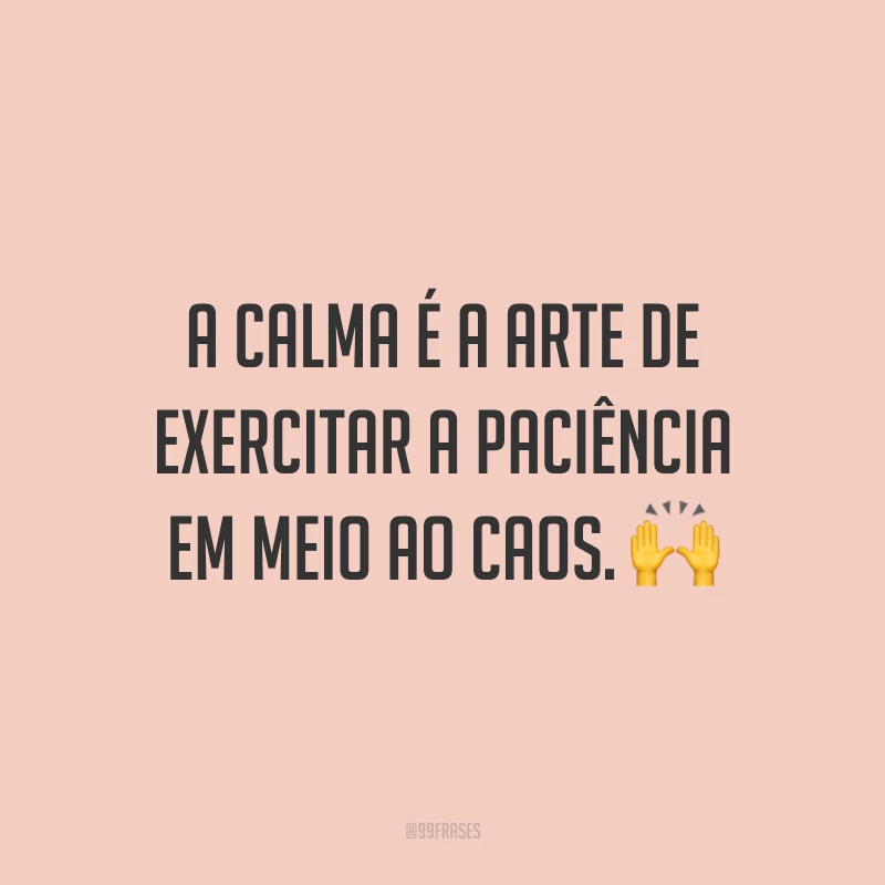 A calma é a arte de exercitar a paciência em meio ao caos. 🙌