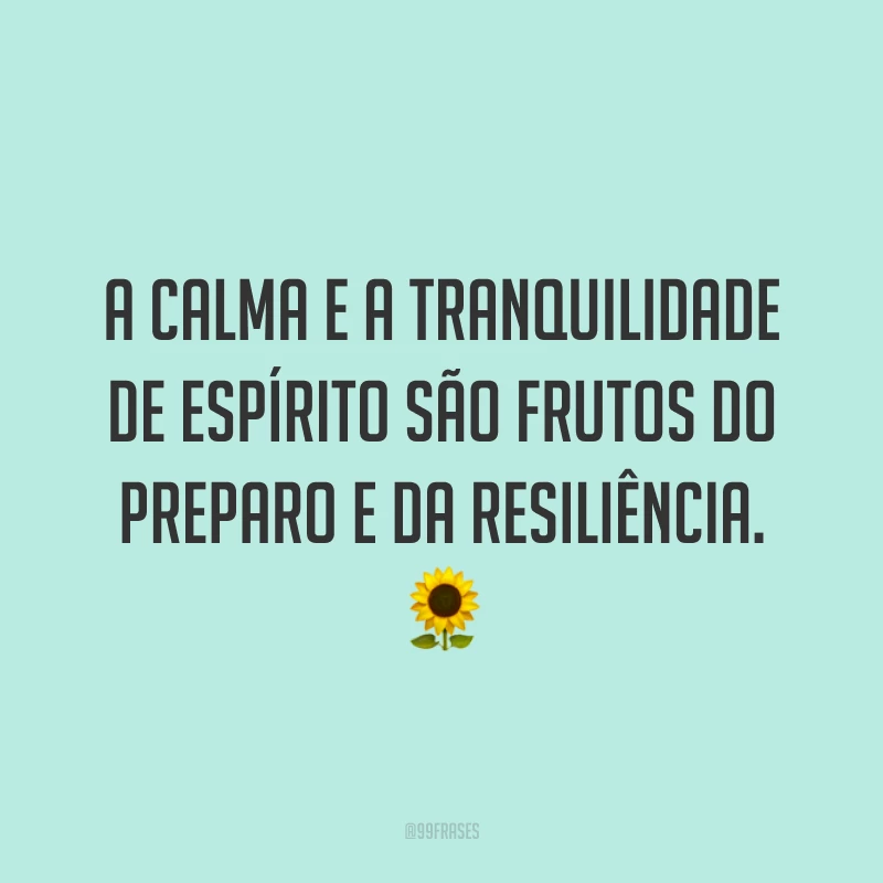 A calma e a tranquilidade de espírito são frutos do preparo e da resiliência. 🌻