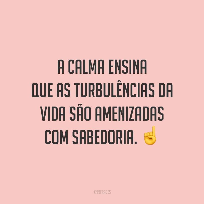 A calma ensina que as turbulências da vida são amenizadas com sabedoria. ☝️