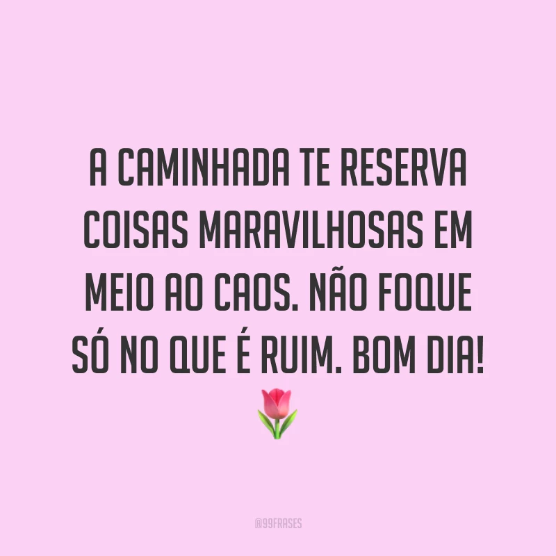 A caminhada te reserva coisas maravilhosas em meio ao caos. Não foque só no que é ruim. Bom dia! ?