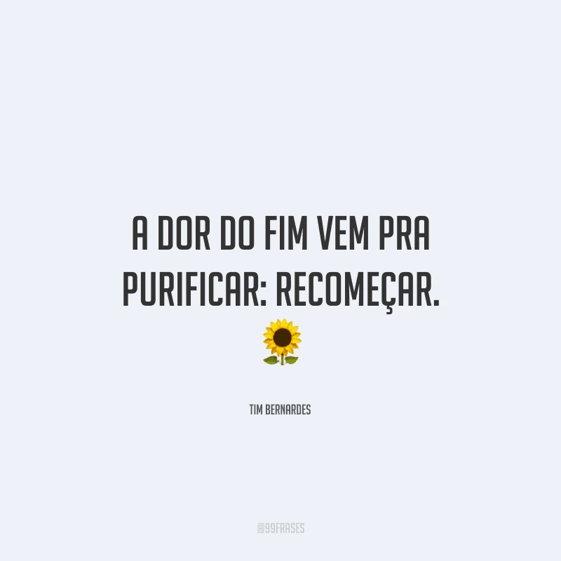 A dor do fim vem pra purificar: recomeçar. 