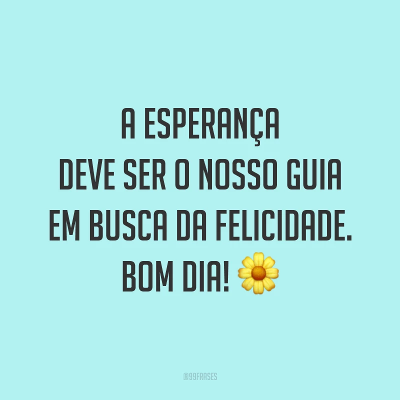 A esperança deve ser o nosso guia em busca da felicidade. Bom dia! 🌼