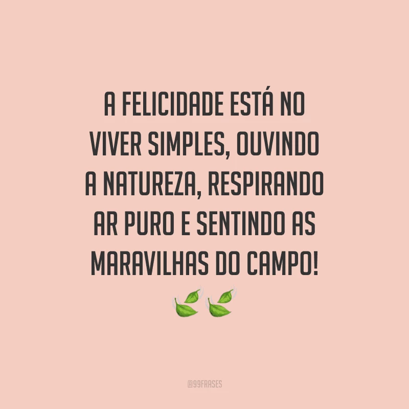 A felicidade está no viver simples, ouvindo a natureza, respirando ar puro e sentindo as maravilhas do campo!