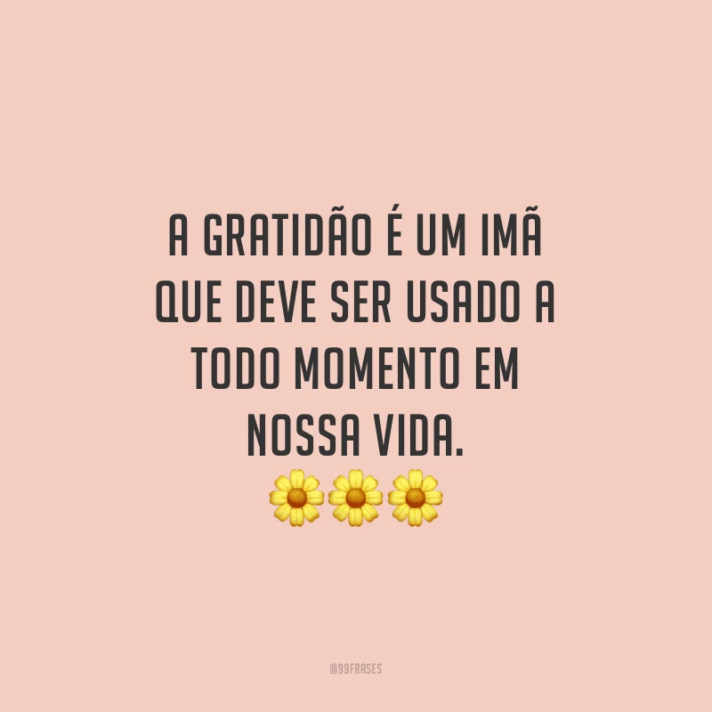 A gratidão é um imã que deve ser usado a todo momento em nossa vida.