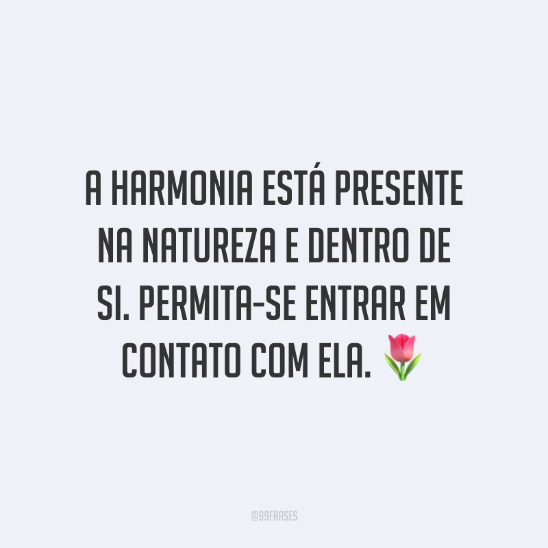 A harmonia está presente na natureza e dentro de si. Permita-se entrar em contato com ela.
