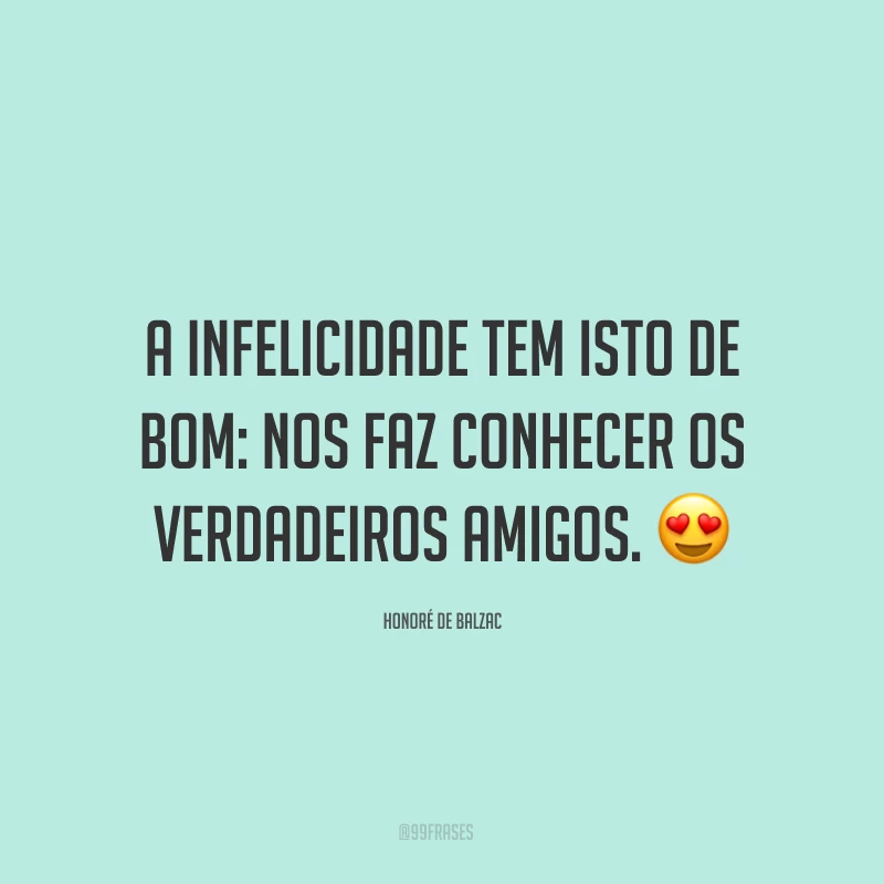 A infelicidade tem isto de bom: nos faz conhecer os verdadeiros amigos. ?