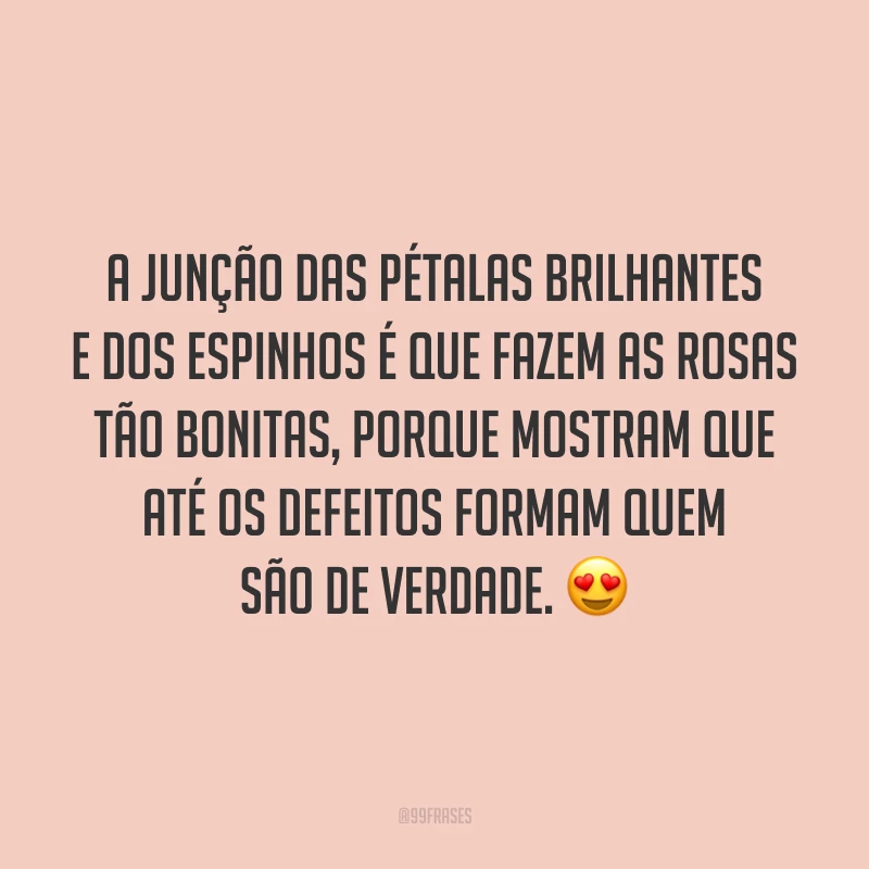 A junção das pétalas brilhantes e dos espinhos é que fazem as rosas tão bonitas, porque mostram que até os defeitos formam quem são de verdade. 😍