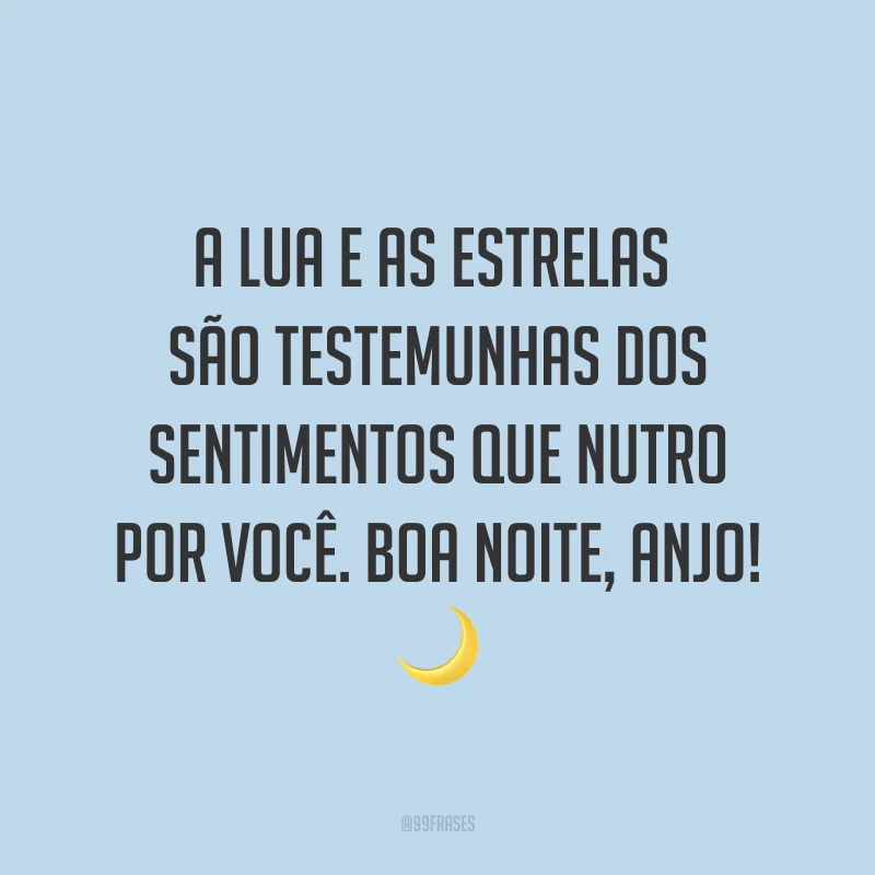 A lua e as estrelas são testemunhas dos sentimentos que nutro por você. Boa noite, anjo! ?