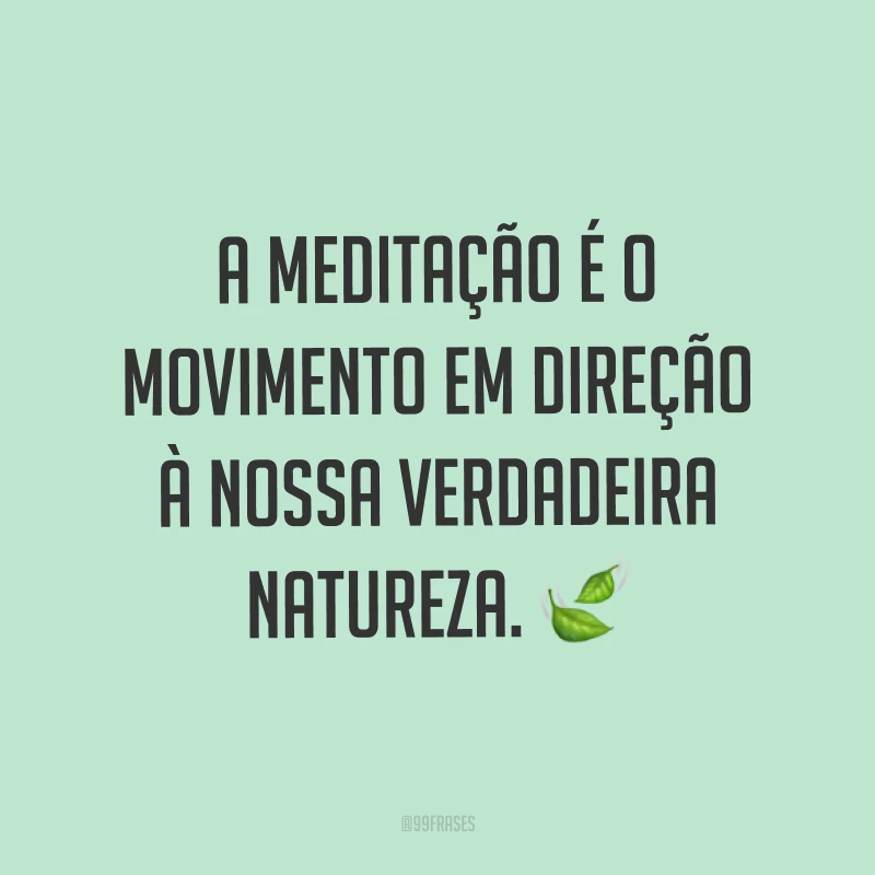 A meditação é o movimento em direção à nossa verdadeira natureza. ?