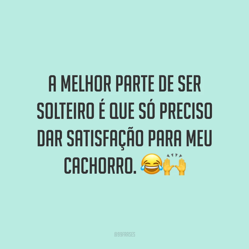 A melhor parte de ser solteiro é que só preciso dar satisfação para meu cachorro. 😂🙌