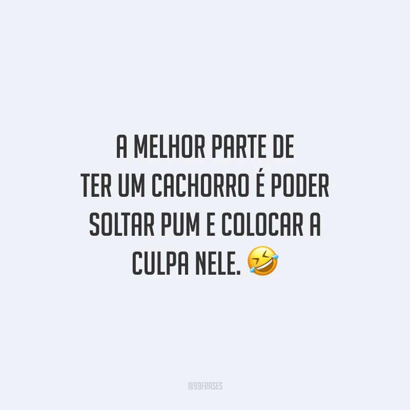 A melhor parte de ter um cachorro é poder soltar pum e colocar a culpa nele.