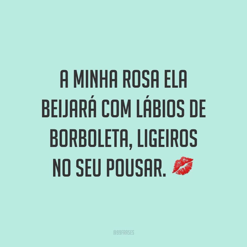 A minha rosa ela beijará com lábios de borboleta, ligeiros no seu pousar. 💋