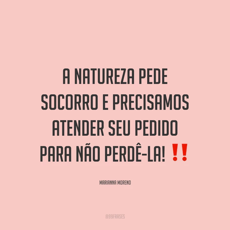 A natureza pede socorro e precisamos atender seu pedido para não perdê-la! ‼