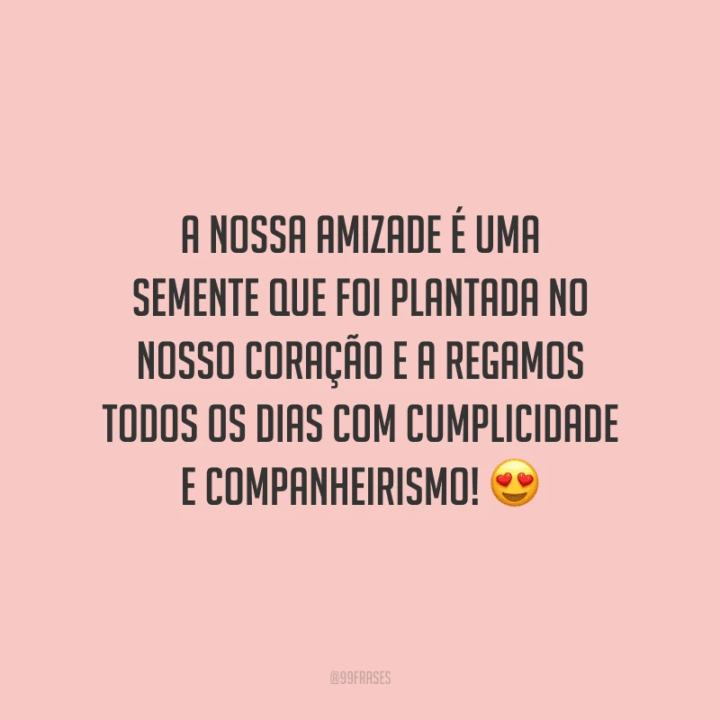 A nossa amizade é uma semente que foi plantada no nosso coração e a regamos todos os dias com cumplicidade e companheirismo!