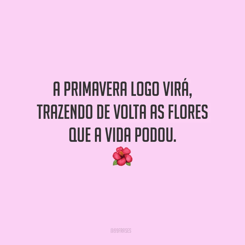 A primavera logo virá, trazendo de volta as flores que a vida podou.