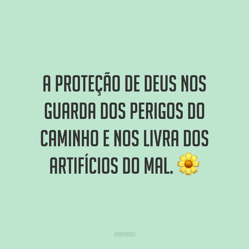 A proteção de Deus nos guarda dos perigos do caminho e nos livra dos artifícios do mal. 🌼