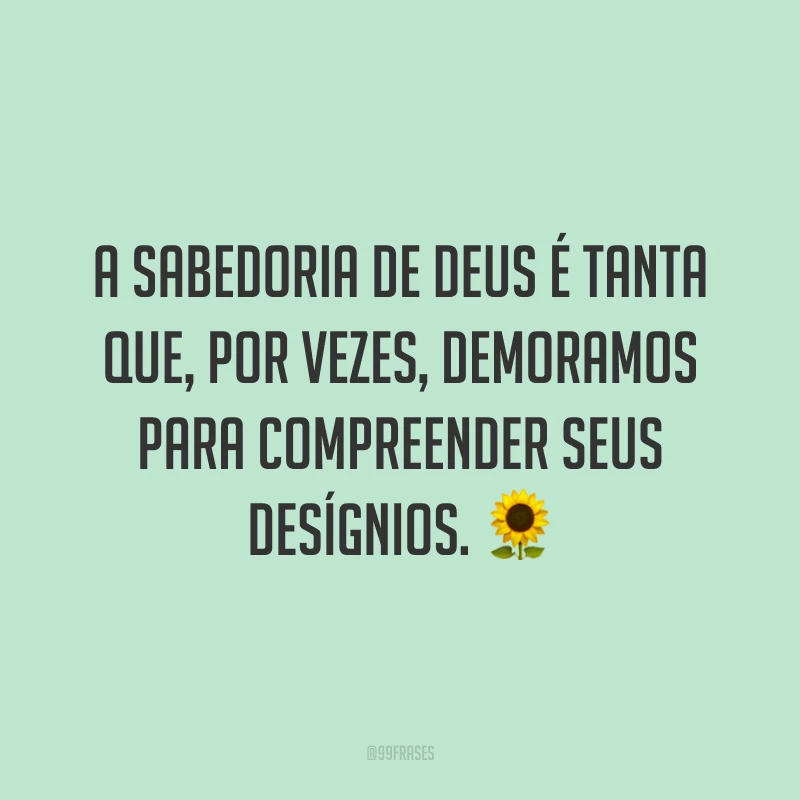A sabedoria de Deus é tanta que, por vezes, demoramos para compreender seus desígnios. 🌻