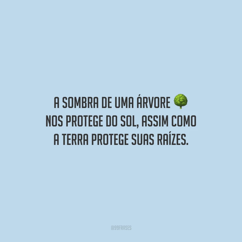 A sombra de uma árvore nos protege do sol, assim como a terra protege suas raízes.
