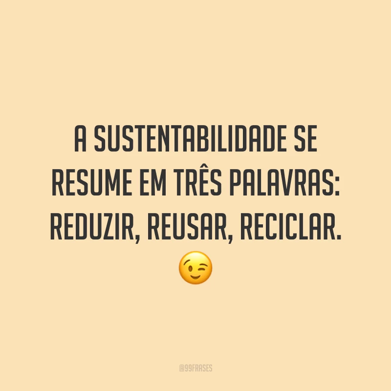 A sustentabilidade se resume em três palavras: reduzir, reusar, reciclar. 😉