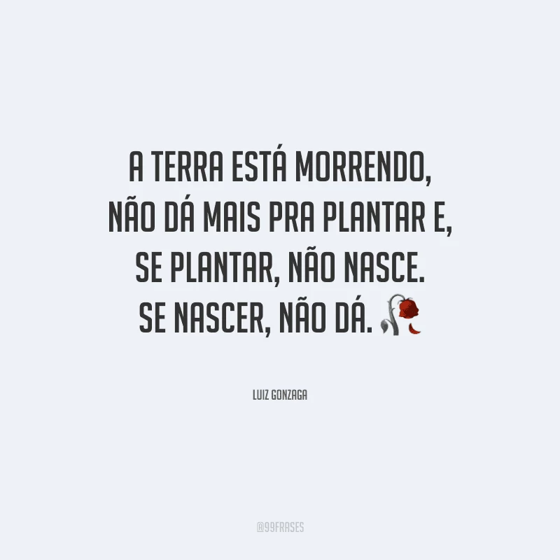 A terra está morrendo, não dá mais pra plantar e, se plantar, não nasce. Se nascer, não dá.