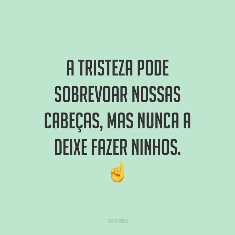 A tristeza pode sobrevoar nossas cabeças, mas nunca a deixe fazer ninhos. ☝️