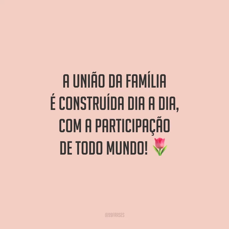 A união da família é construída dia a dia, com a participação de todo mundo!