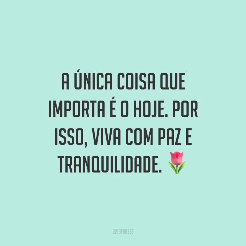 A única coisa que importa é o hoje. Por isso, viva com paz e tranquilidade.