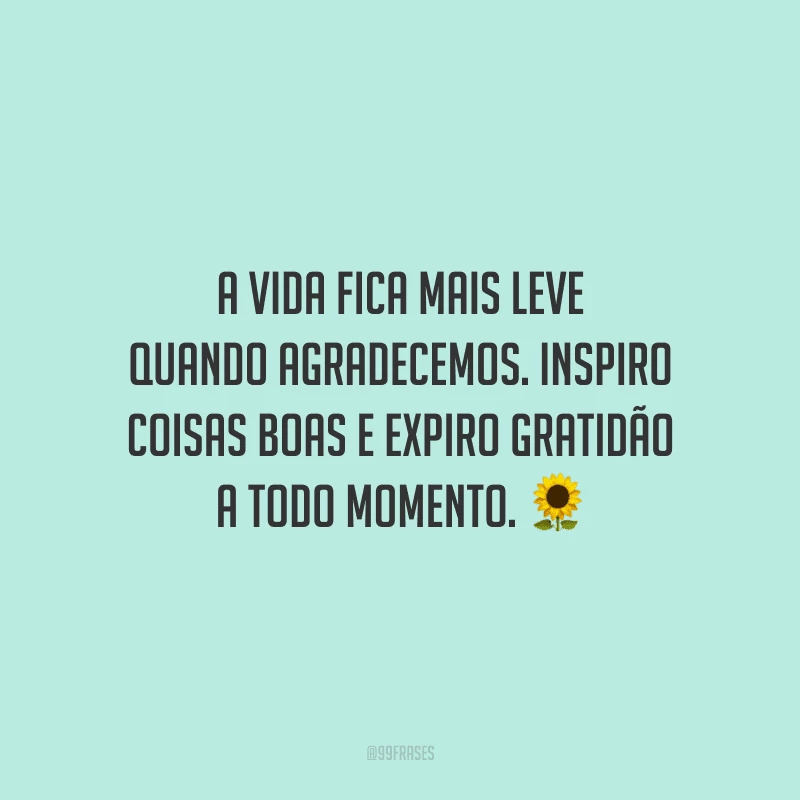 A vida fica mais leve quando agradecemos. Inspiro coisas boas e expiro gratidão a todo momento.