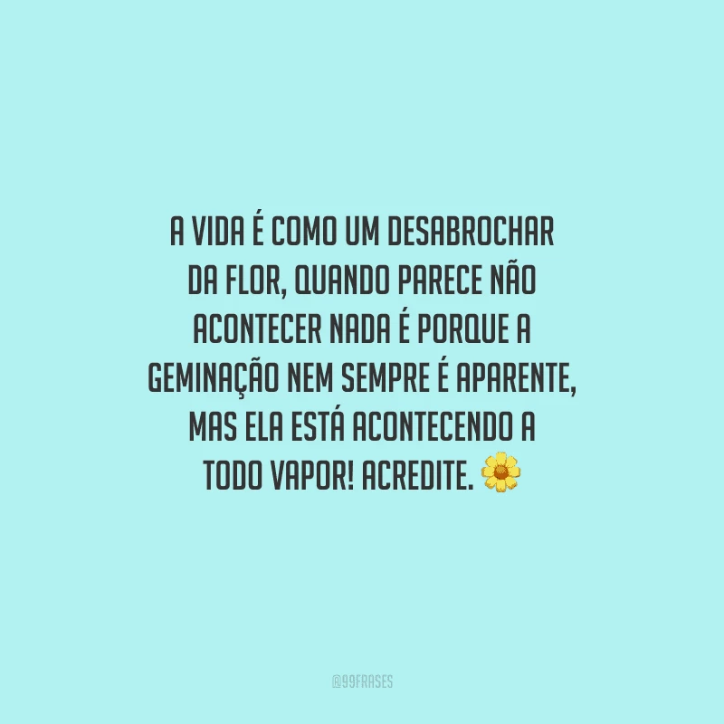 A vida é como um desabrochar da flor, quando parece não acontecer nada é porque a geminação nem sempre é aparente, mas ela está acontecendo a todo vapor! Acredite. 