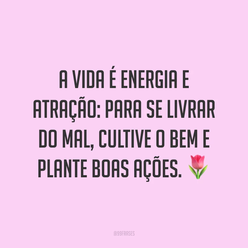 A vida é energia e atração: para se livrar do mal, cultive o bem e plante boas ações. 🌷