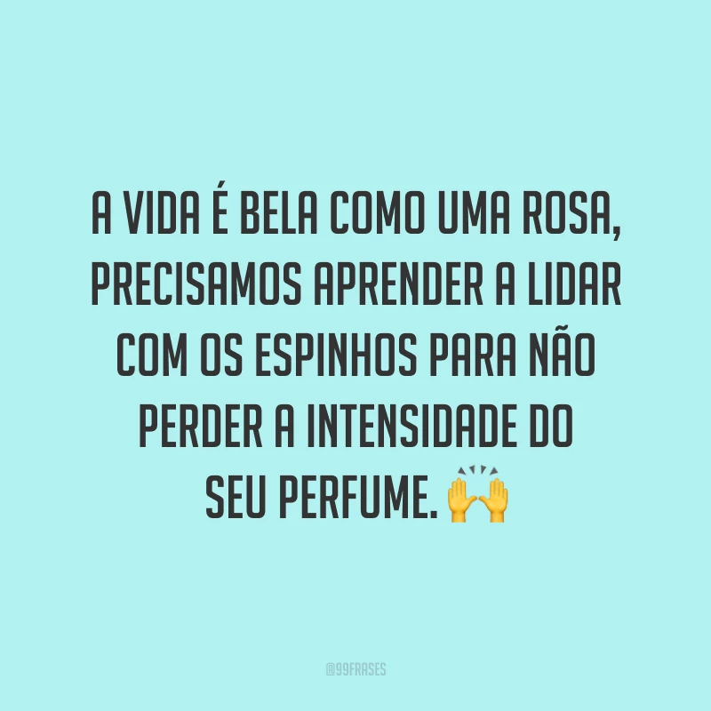 A vida é bela como uma rosa, precisamos aprender a lidar com os espinhos para não perder a intensidade do seu perfume. 🙌