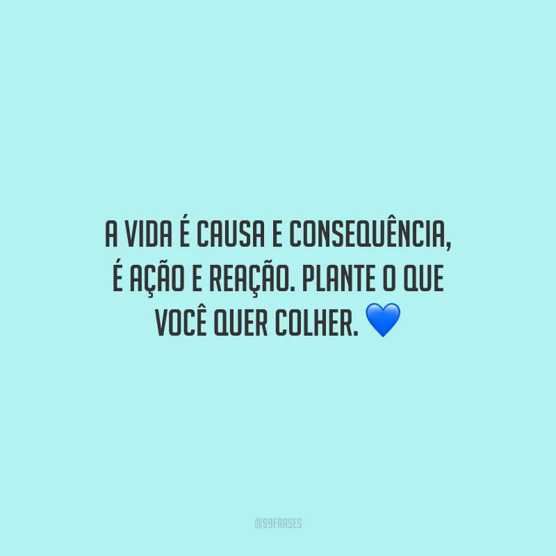 A vida é causa e consequência, é ação e reação. Plante o que você quer colher.